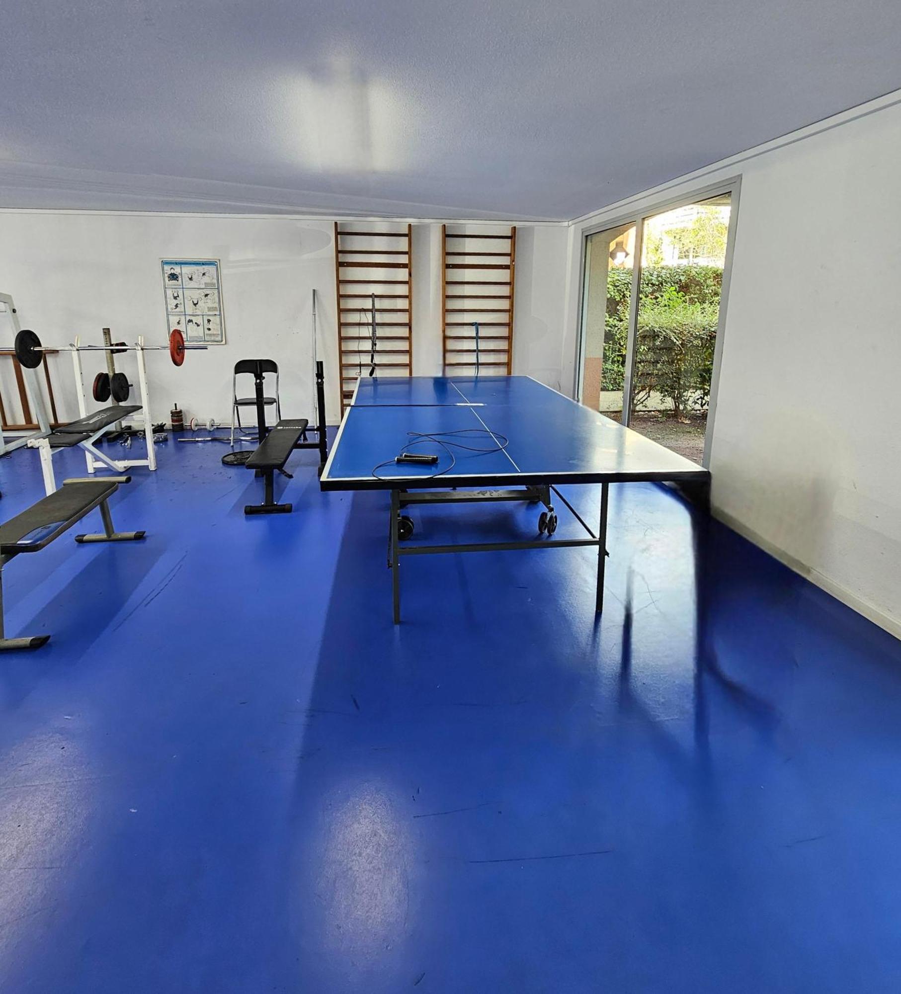 T2 Havre De Paix 2 A 4 P - Terrasse - Parking - Piscine - Salle Sport - Tennis Toulouse Dış mekan fotoğraf